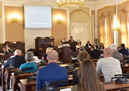 Debate at the Petition Committee of the Parliament of the Czech Republic